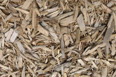 biomass boilers Dunham Woodhouses